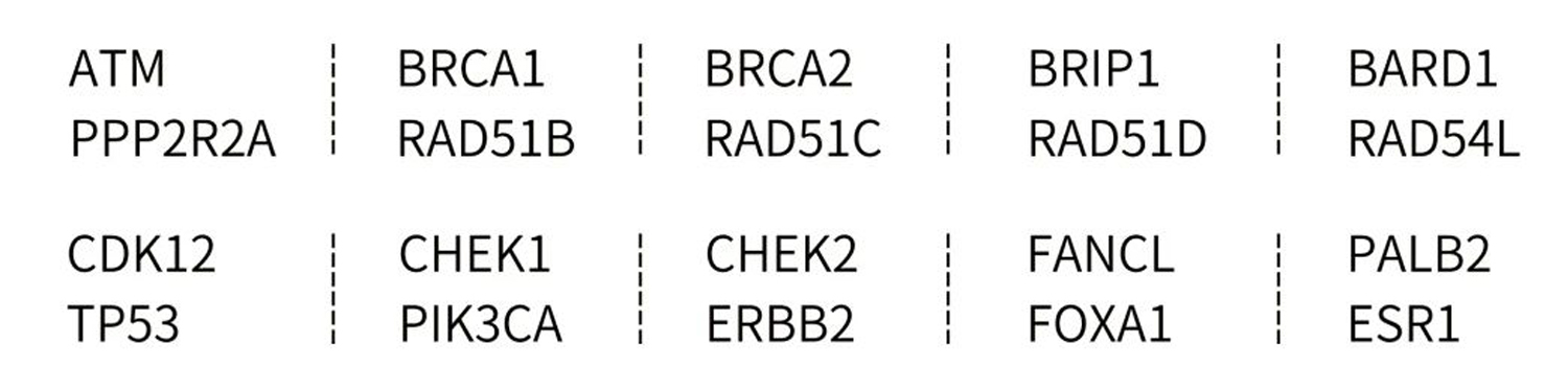 新品上线 %7C “暗探针”技术助力HRD研究，精准医疗又添一利_9118b83c