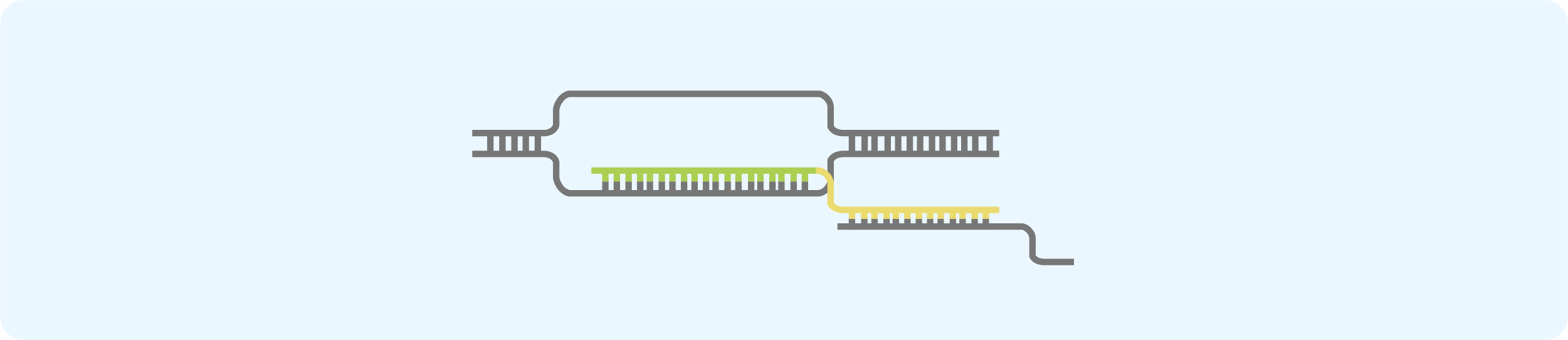 CRISPR sgRNA Library