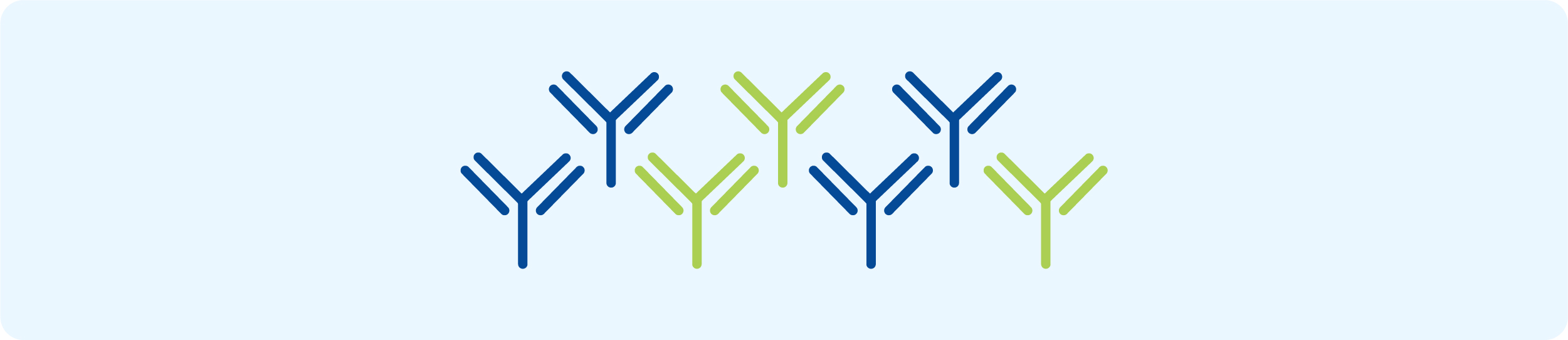 Antibody Library