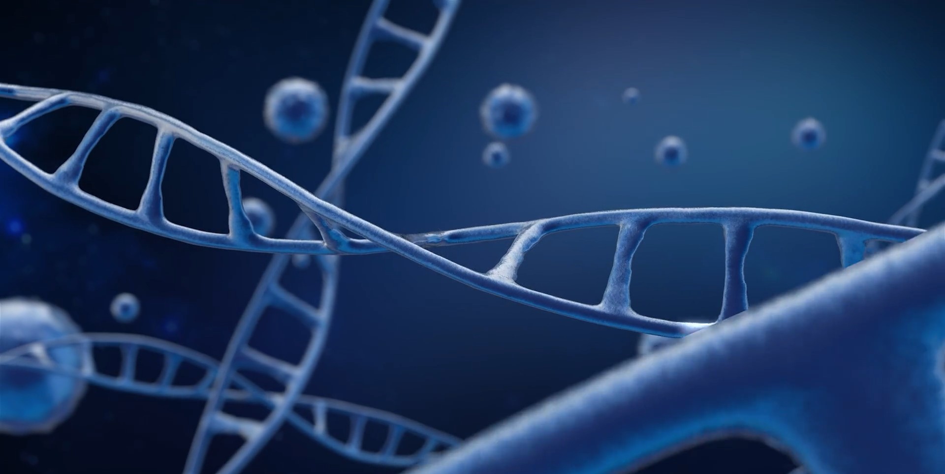 DNA Oligonucleotide