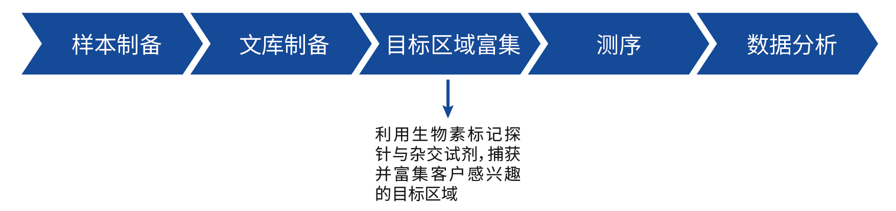 官网图片&mdash;&mdash;人全外显子组探针_画板 1
