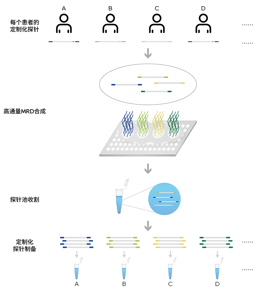 中文