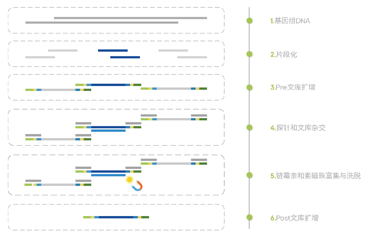 ScreenShot_2026-04-27_154513_224