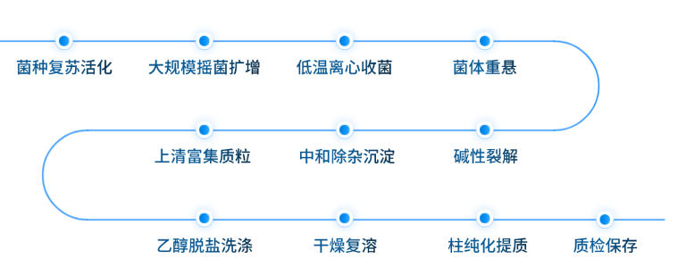 质粒扩增抽提流程图