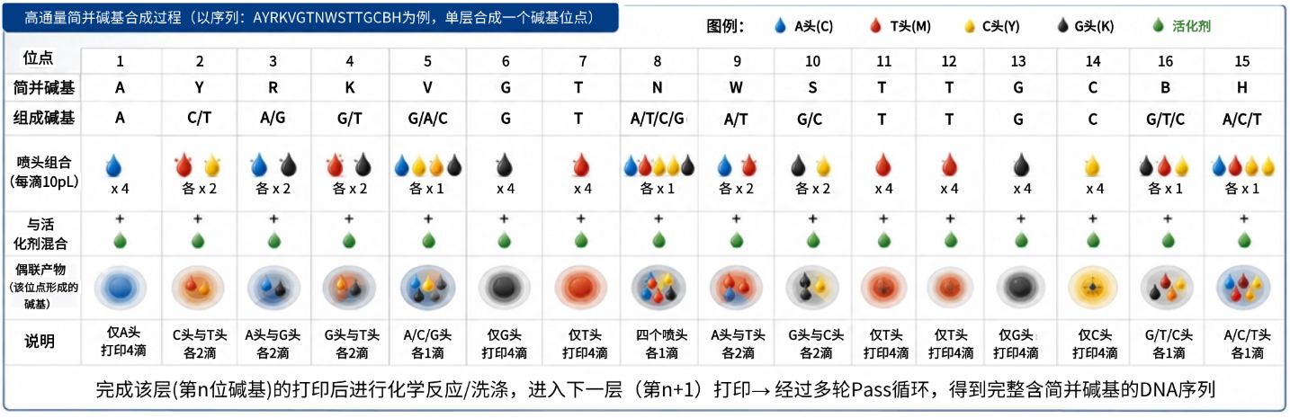 T251114164852-原始文件PSD - 副本 (7)